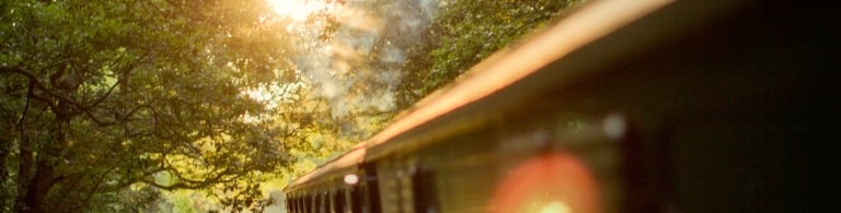 Steam Train moving through a forest