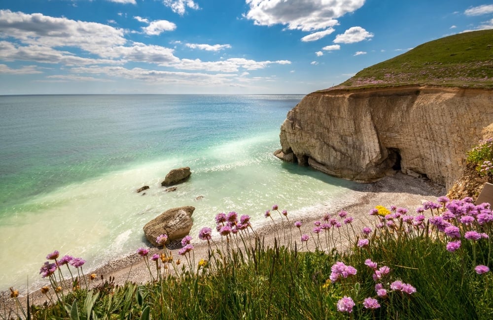 Image of Watcombe Bay