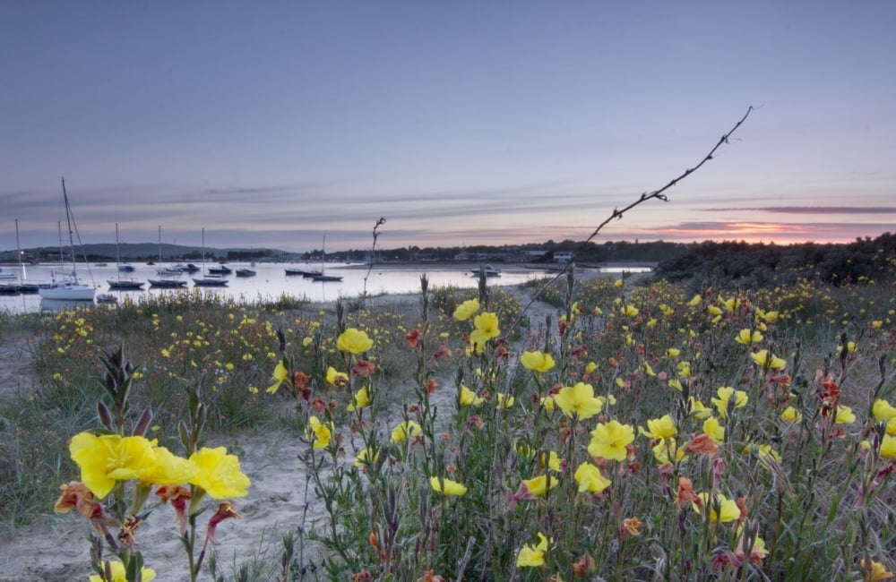 bembridge-harbour