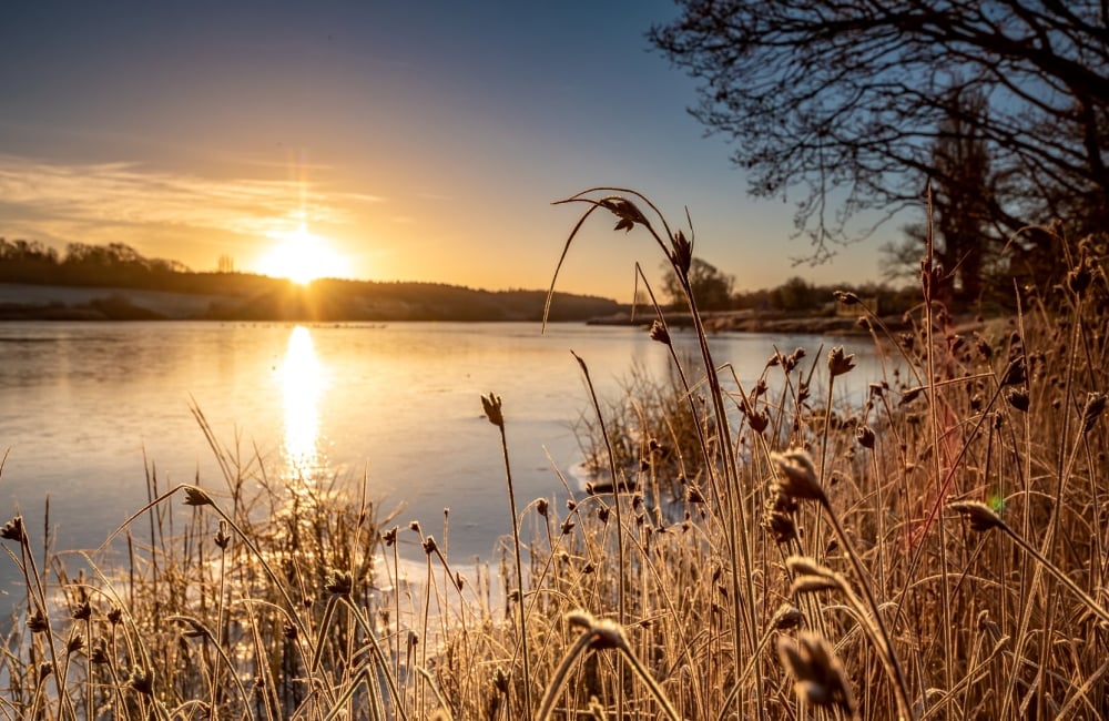 frost at wootton creek