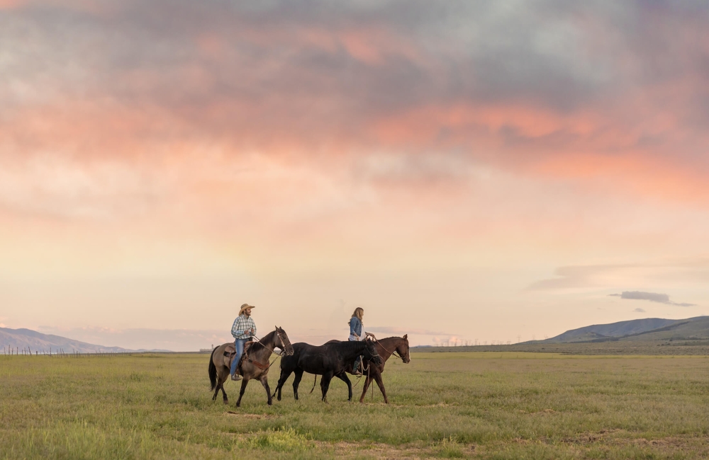 People Horse Riding