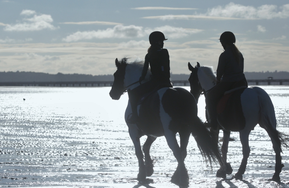 two horses with riders on the beach 