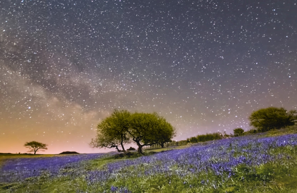 starry night sky