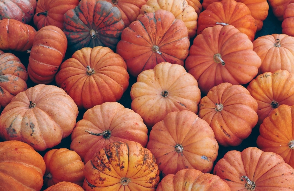 pumpkins