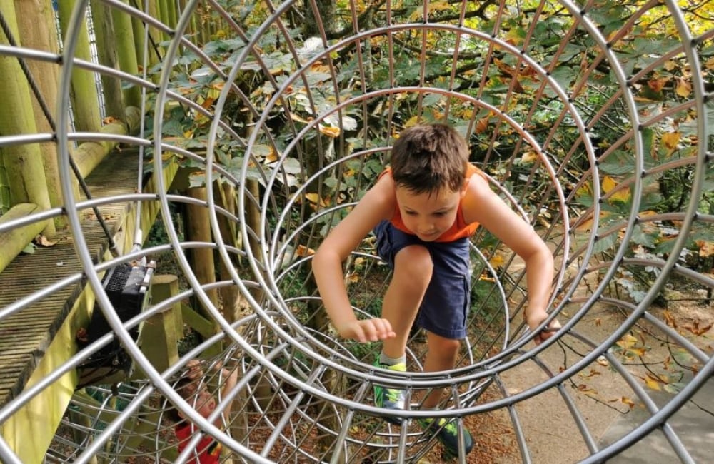 Children enjoying the treetops climbing frame at Robin Hill