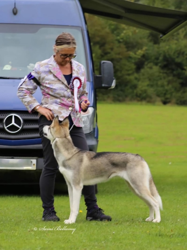 Julie Platt with Husky