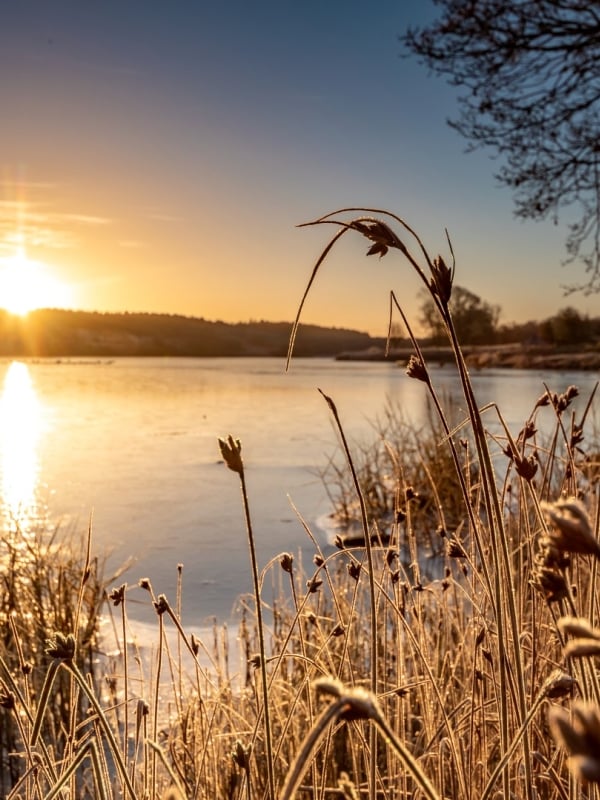 frost at wootton creek