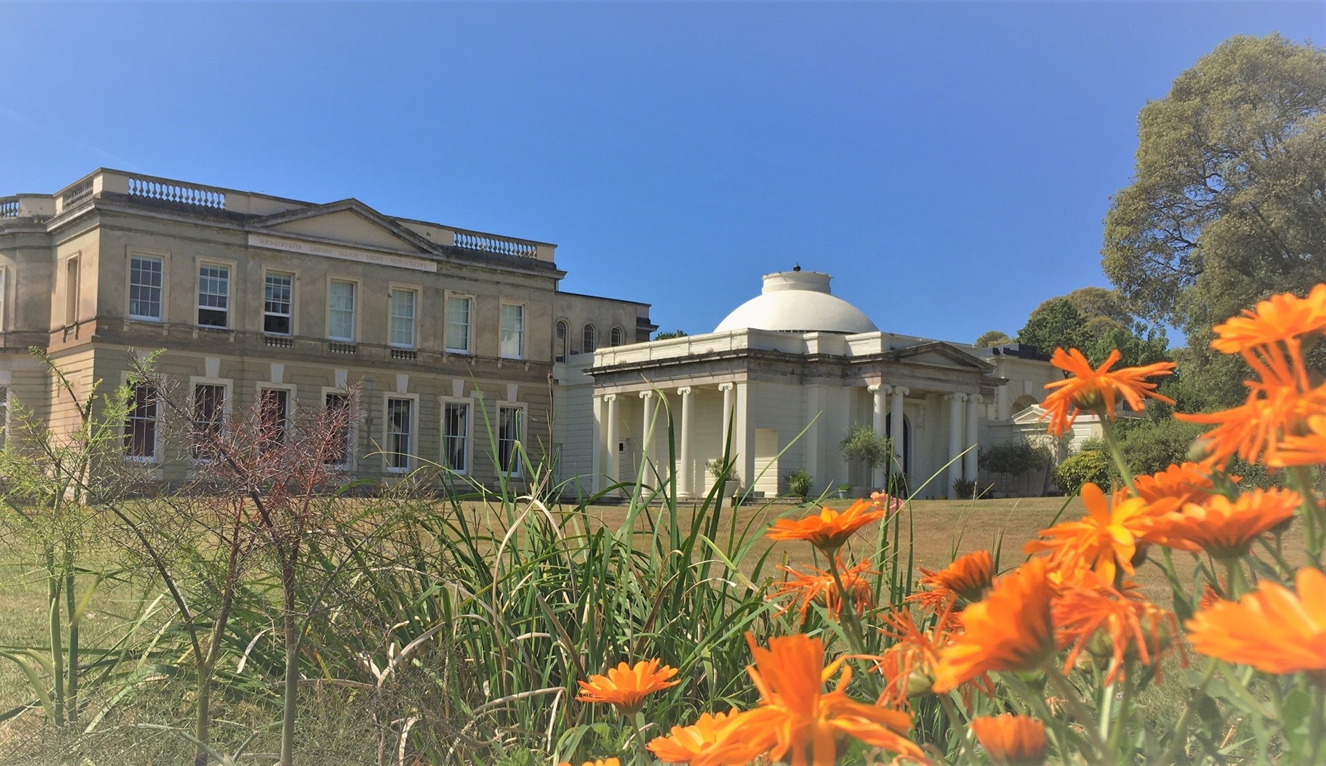 flowers in bloom at northwood house