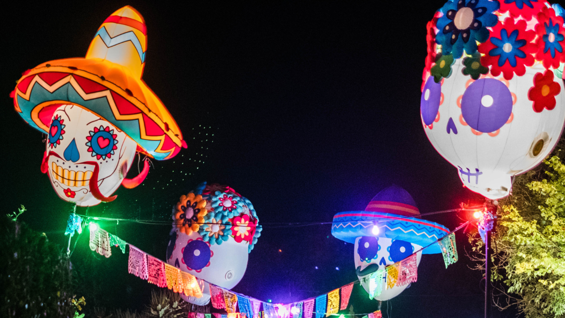 spooky skull shaped lanterns