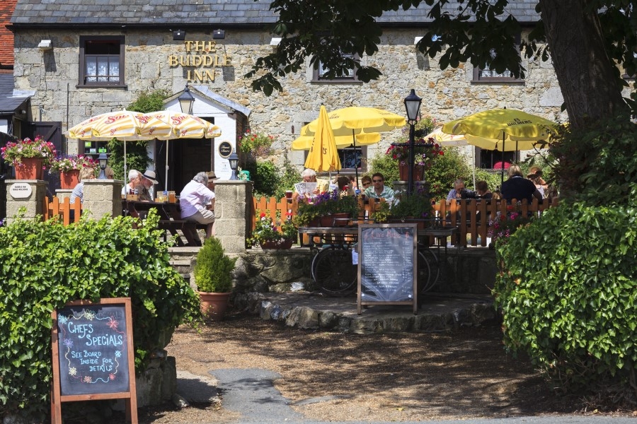 Dog Friendly Dining - The Buddle Inn