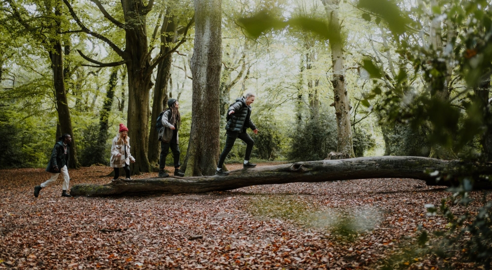 Autumn day walk