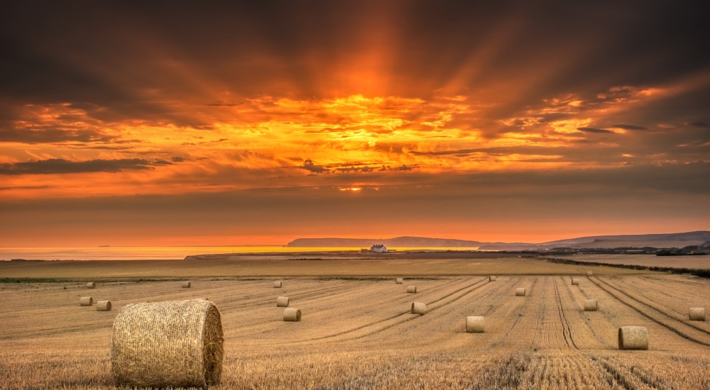 hay bales in a field with the sun setting behind
