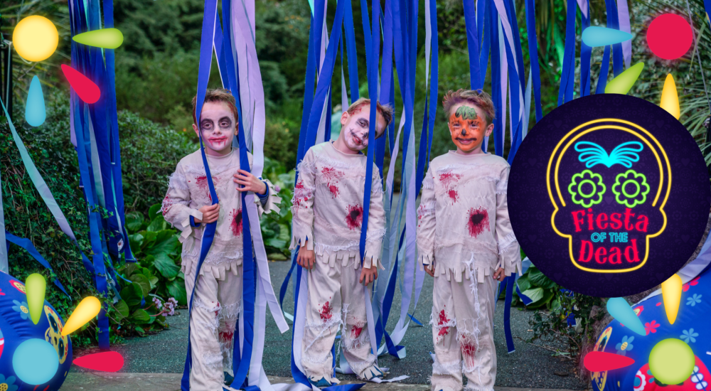 kids in zombie fancy dress