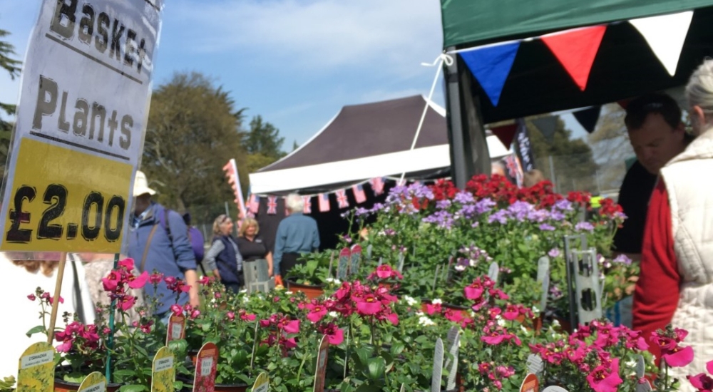 flowers for sale