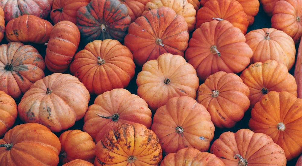 pumpkins