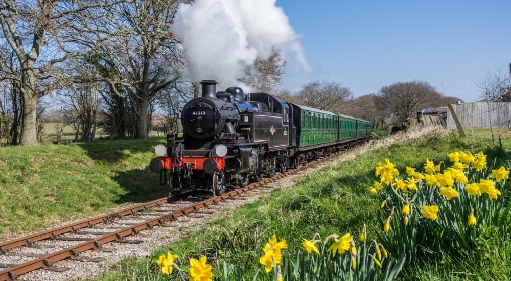 A vintage locomotive emitting a plume of steam, with daffodils in the foreground