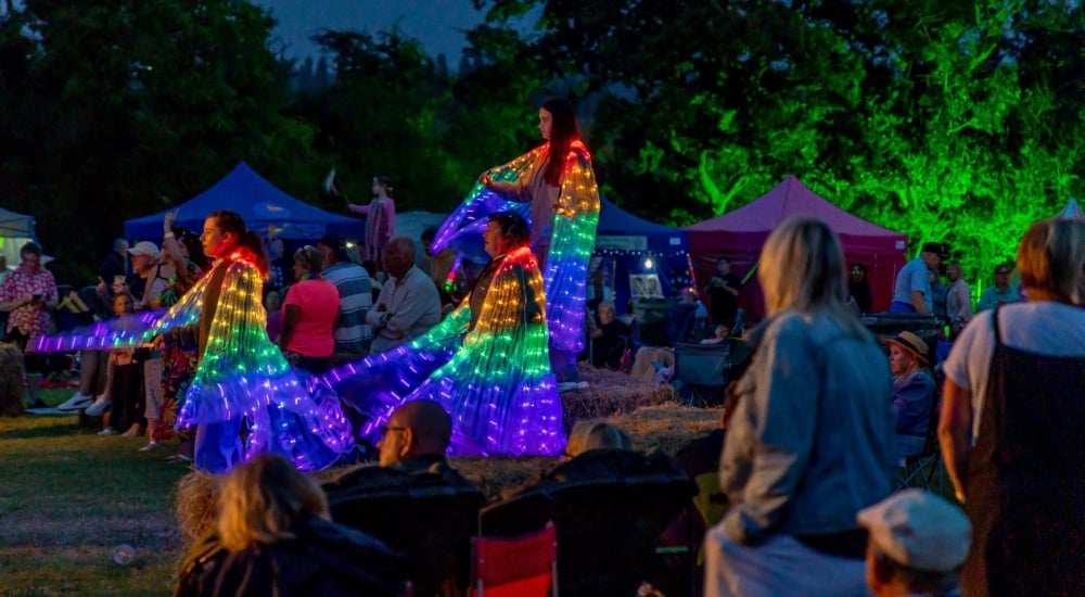 concert-goers in illuminated costumes